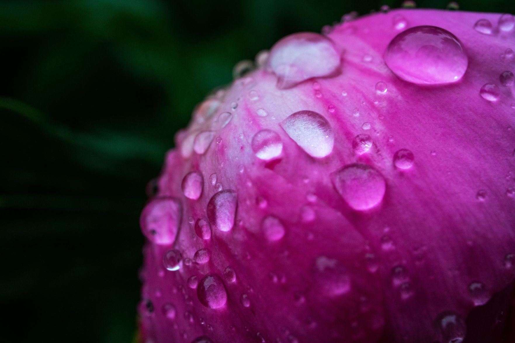 May Rain